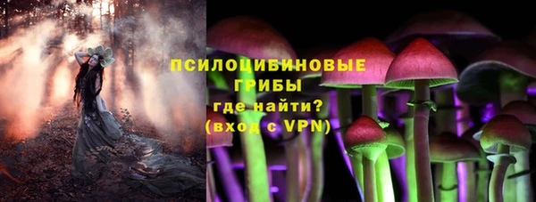 прущие крисы Баксан