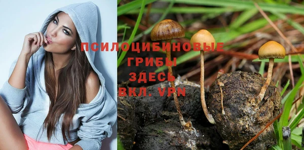 хмурый Балабаново